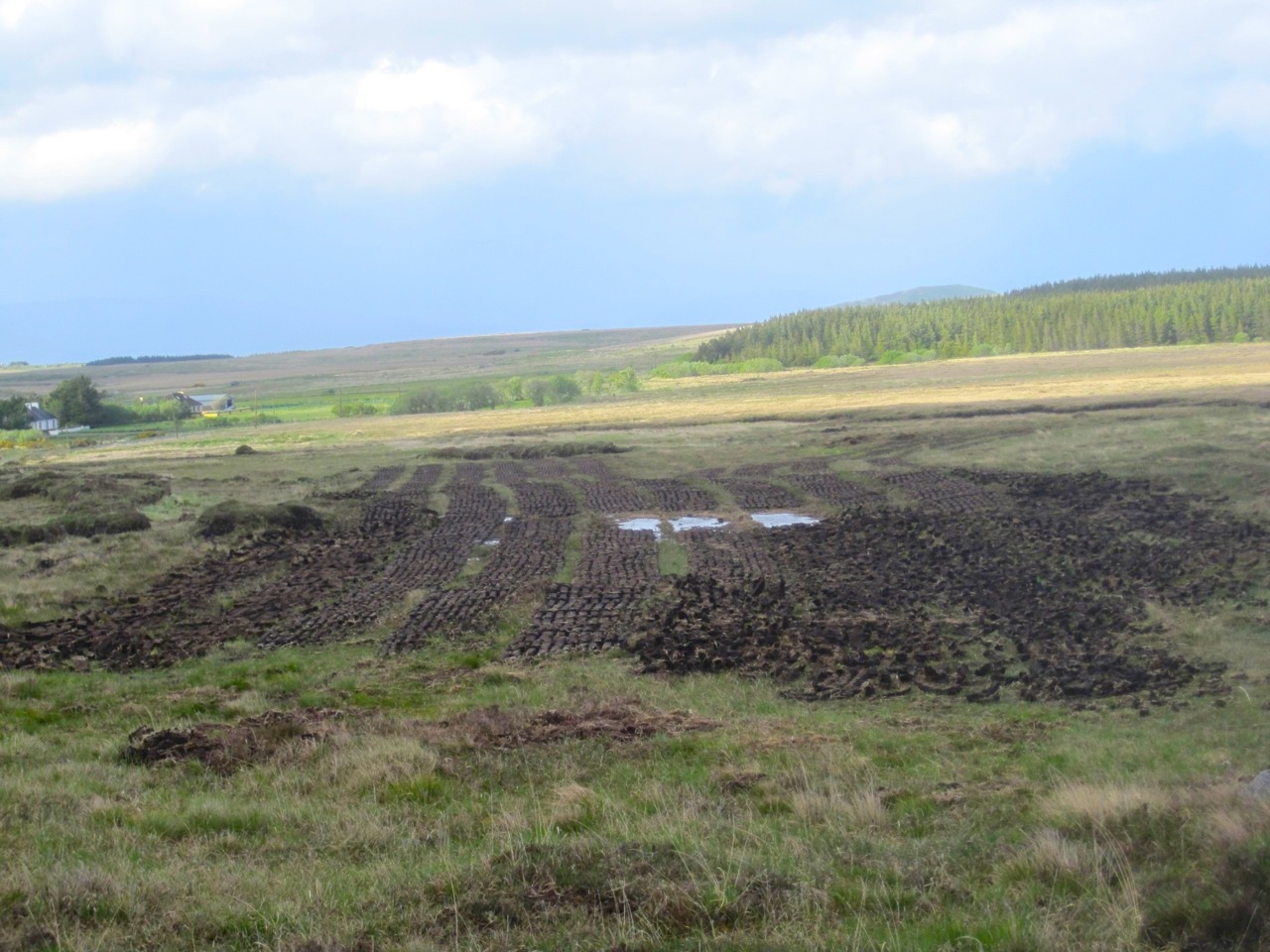 Peat Country, Louisburgh, Co Mayo 2