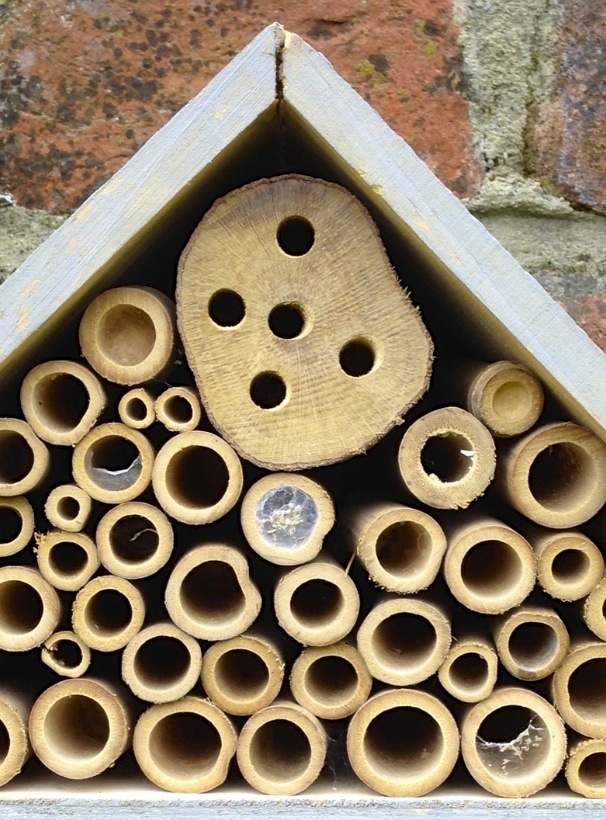 Bee House, Totnell 6