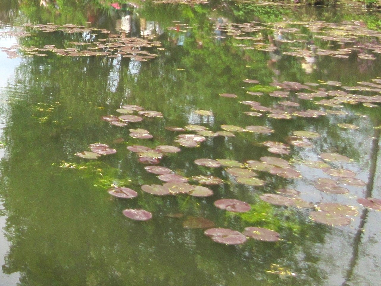 Impressions of Giverny - Lily Pond 05
